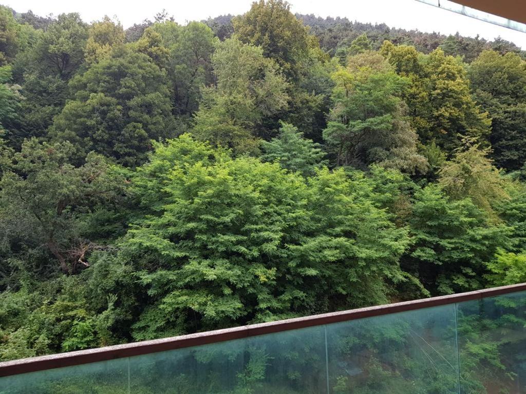 Apartmentsbnb828 Braşov Dış mekan fotoğraf